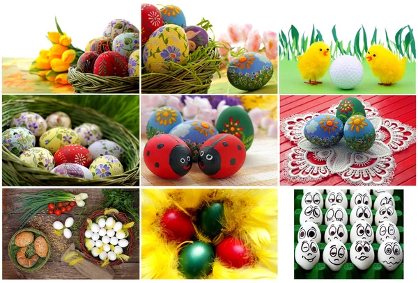 Raccolta uova di Pasqua — Foto Stock