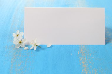 Çiçekleri kiraz ve kart mavi bir arka plan üzerinde