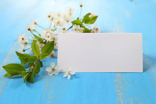 Flowers of cherry and card on a blue  background — Stock Photo, Image