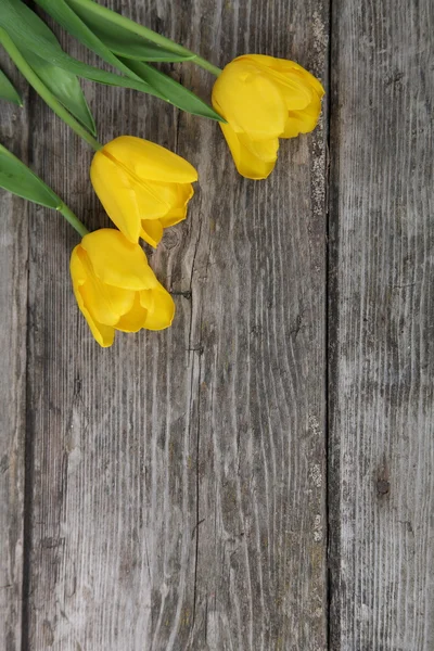 Bouquet de tulipes jaunes et rouges — Photo
