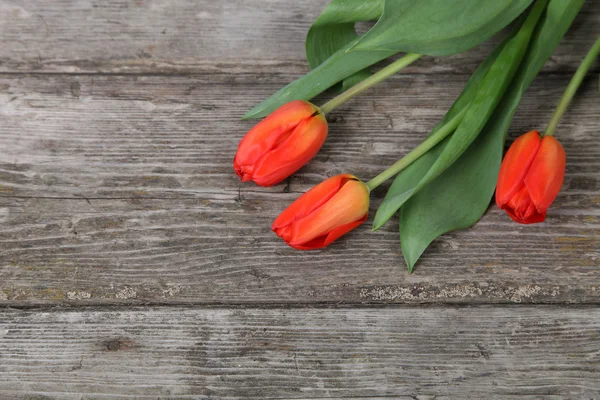 Kytice žlutých a červených tulipánů — Stock fotografie