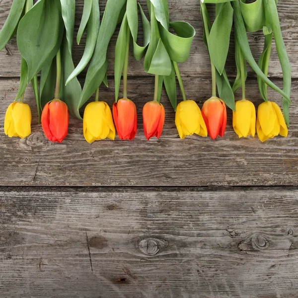 Buquê de tulipas amarelas e vermelhas — Fotografia de Stock