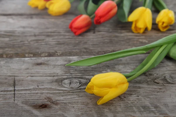 Boeket gele en rode tulpen — Stockfoto