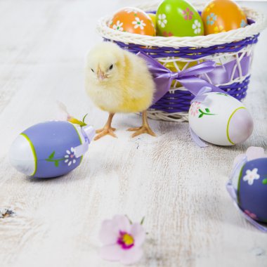 Sarı tavuk ve Paskalya yortusu yumurta 