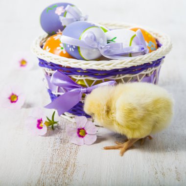 Sarı tavuk ve Paskalya yortusu yumurta 