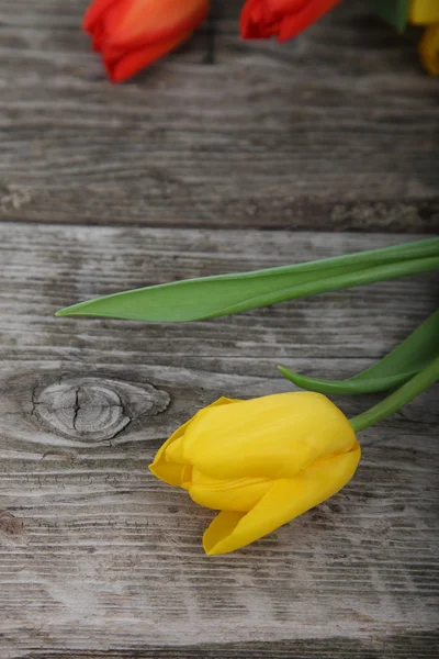 Bouquet of yellow and red tulips — Stock Photo, Image