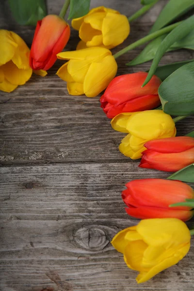 Boeket gele en rode tulpen — Stockfoto