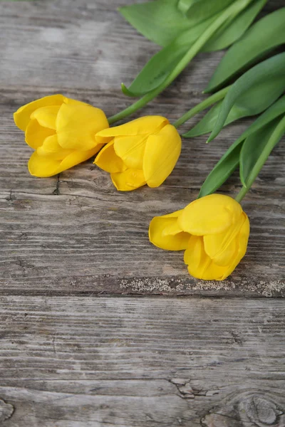 Strauß gelber und roter Tulpen — Stockfoto