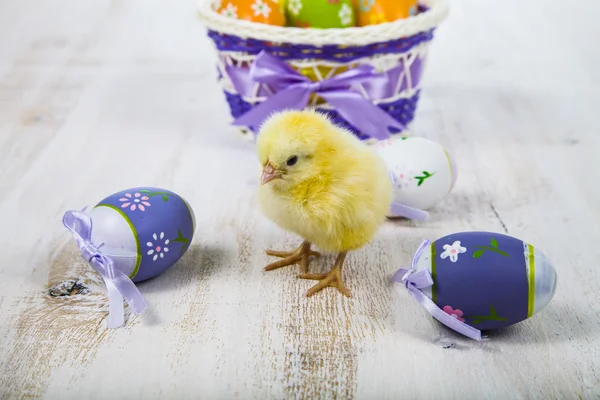 Sarı tavuk ve Paskalya yortusu yumurta 