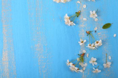 çiçekleri kiraz ahşap arka plan üzerinde