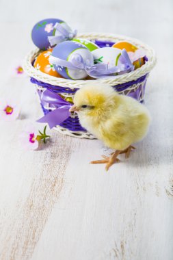 Sarı tavuk ve Paskalya yortusu yumurta 