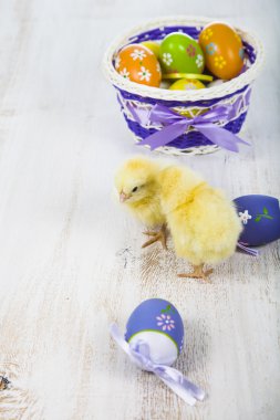 Sarı tavuk ve yumurta 