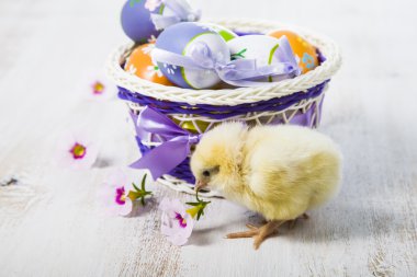 Sarı tavuk ve Paskalya yortusu yumurta 