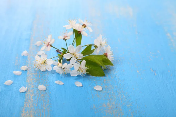 Fleurs de cerise sur un fond en bois — Photo