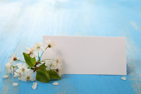 Flores de cereja e cartão — Fotografia de Stock