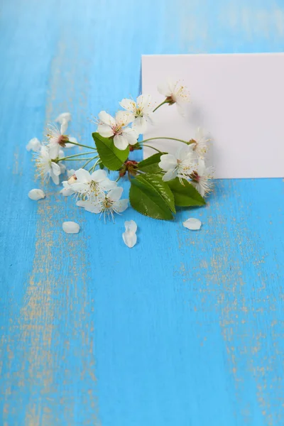 Flores de cereja e cartão — Fotografia de Stock