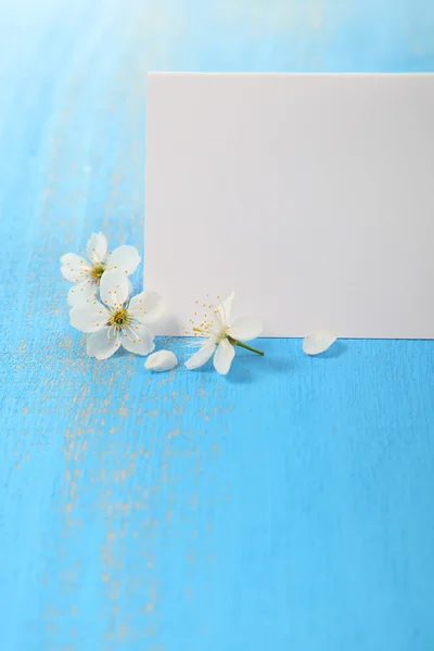 Květy třešní a karty — Stock fotografie