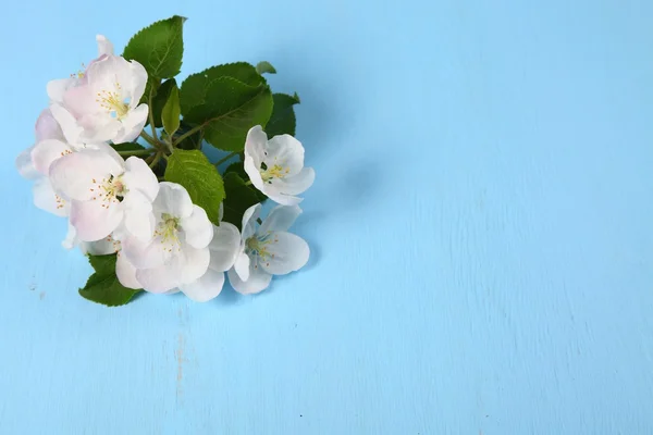 Fiori di mela su uno sfondo di legno — Foto Stock