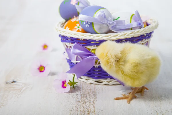 Gele kip en Pasen eieren — Stockfoto