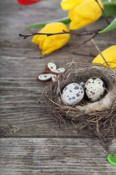 Paaseieren in het nest op een houten achtergrond — Stockfoto