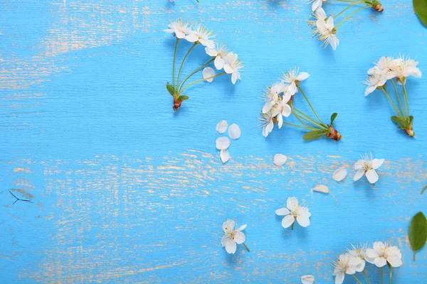 Άνθη της κερασιάς σε ξύλινα φόντο — Φωτογραφία Αρχείου