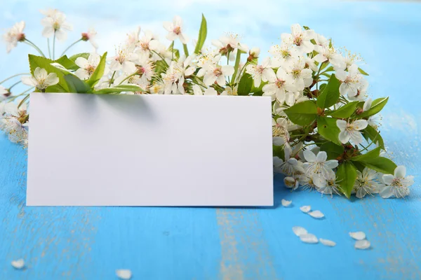 Flores de cereja e cartão — Fotografia de Stock