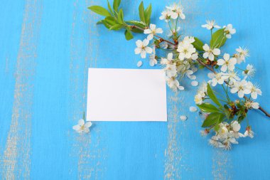 Kiraz ve kartı beyaz çiçekler 