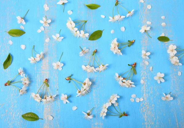 Weiße Blüten der Kirsche Nahaufnahme — Stockfoto