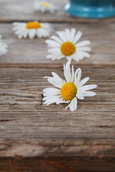 Beautiful chamomiles  on wooden table — Stock Photo, Image