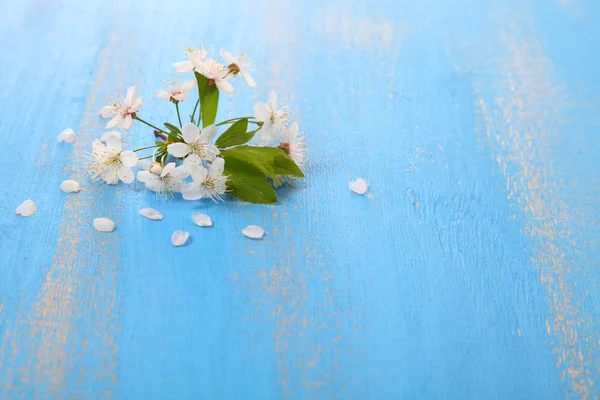 Kirschblüten auf einem hölzernen Hintergrund — Stockfoto