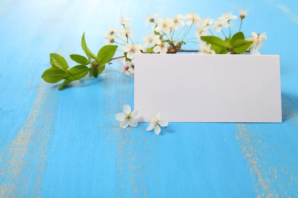 Flores de cereja e cartão — Fotografia de Stock