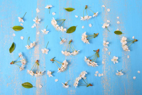 Kirschblüten auf einem hölzernen Hintergrund — Stockfoto