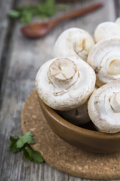 Funghi crudi in una ciotola — Foto Stock