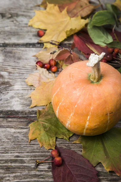 Citrouilles et feuilles d'automne sur une table en bois — Photo