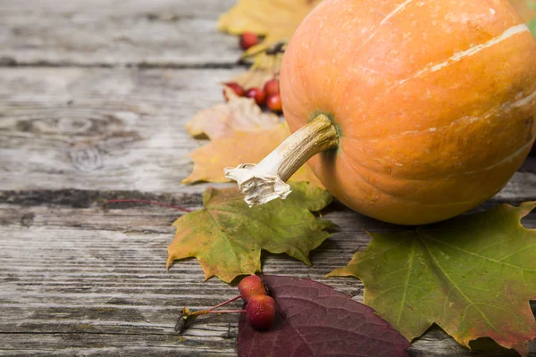 Calabazas y hojas de otoño sobre una mesa de madera — Foto de Stock
