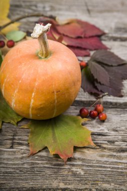 Kabaklar ve ahşap bir masa üzerinde sonbahar yaprakları 