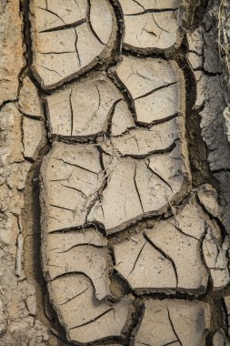 Kuru kahverengi toprak yakın çekim