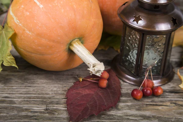 Pumpkins, fener ve sonbahar yaprakları