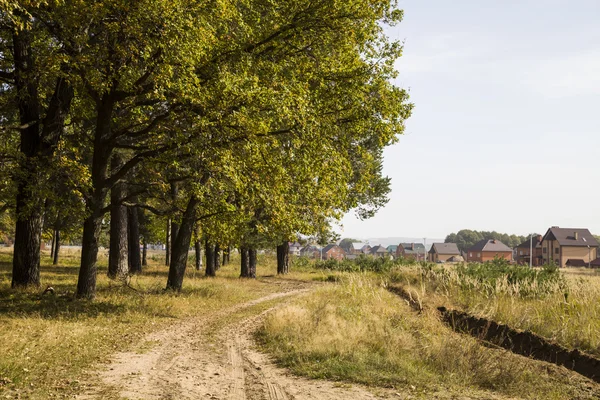 Straße im Herbstwald — Stockfoto