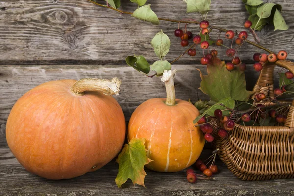 Citrouilles, panier et feuilles d'automne — Photo