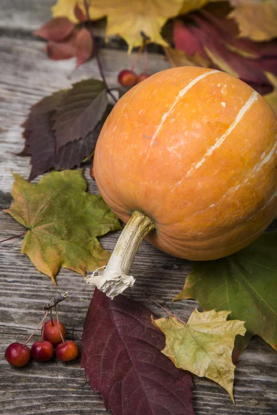 Kabaklar ve ahşap bir masa üzerinde sonbahar yaprakları 