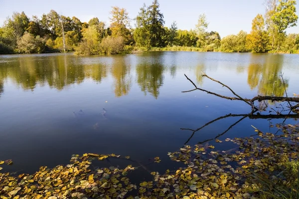 晴れた日に秋の池 — ストック写真