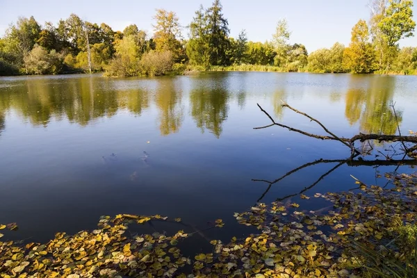 Stagno autunnale in una giornata di sole — Foto Stock