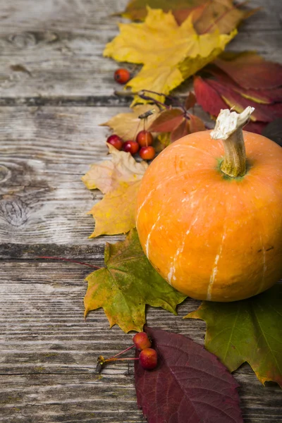 Hojas de calabaza y caída sobre mesa de madera — Foto de Stock