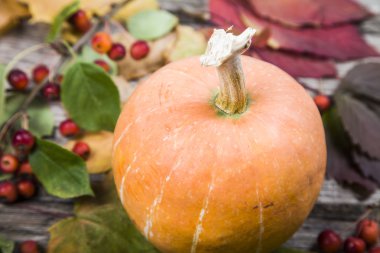 Kabaklar ve ahşap bir masa üzerinde sonbahar yaprakları 