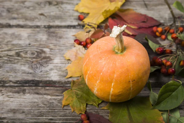 Citrouilles et feuilles d'automne sur une table en bois — Photo