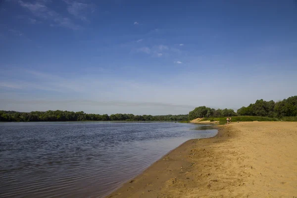 Тихая река в летний день — стоковое фото