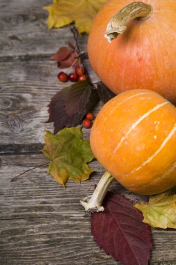 Kabaklar ve ahşap bir masa üzerinde sonbahar yaprakları 