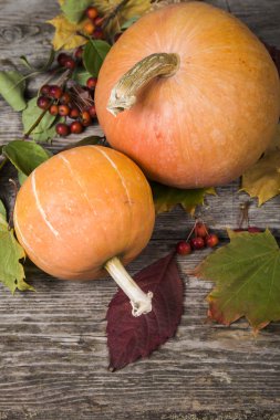 Kabaklar ve ahşap bir masa üzerinde sonbahar yaprakları 