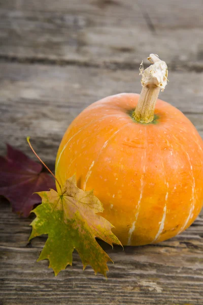 Citrouilles et feuilles d'automne sur une table en bois — Photo